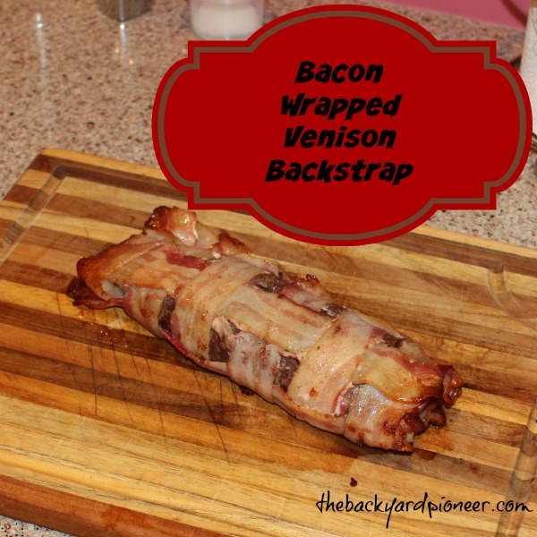 Venison bacon