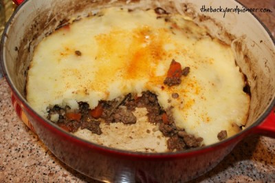 Homemade Venison Shepherd's Pie - The Backyard Pioneer